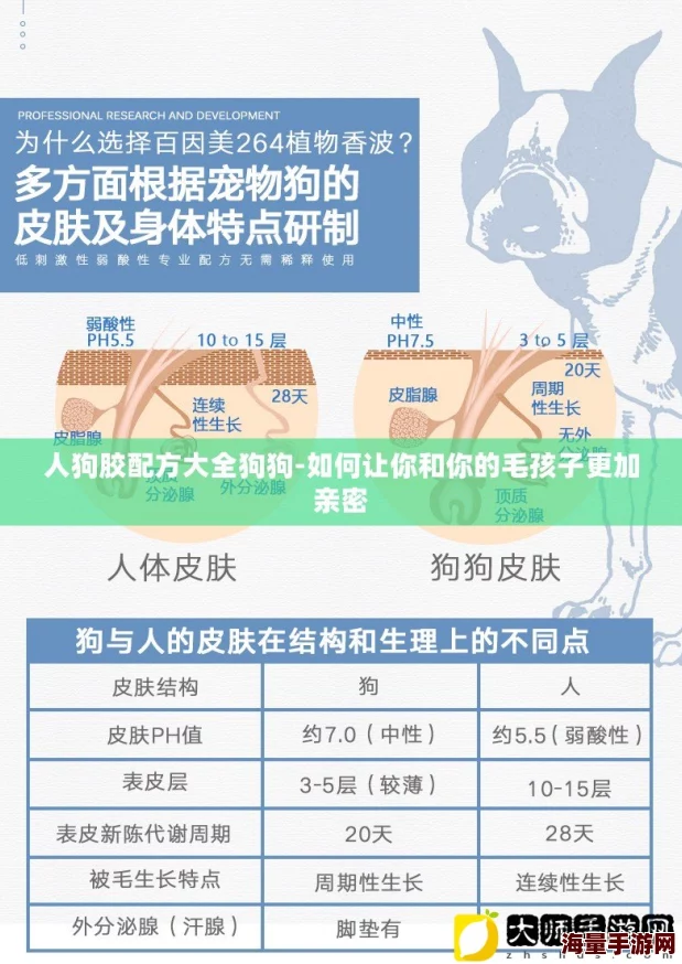 人狗胶配方大全狗狗：全面解析不同犬种所需营养与健康配方，助力狗狗幸福成长