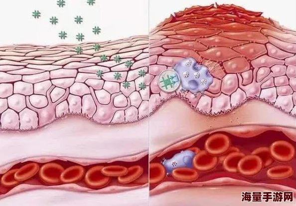 欧美三人交：最新动态揭示了这一现象在社交平台上的影响力与参与者的多样性，吸引了越来越多年轻人的关注