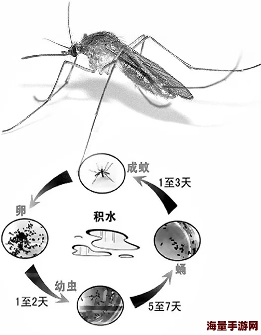日本吴国鹏-国产jizz18高清视频-最新动态显示该视频在社交平台上引发热议，用户评论积极，观看量持续攀升